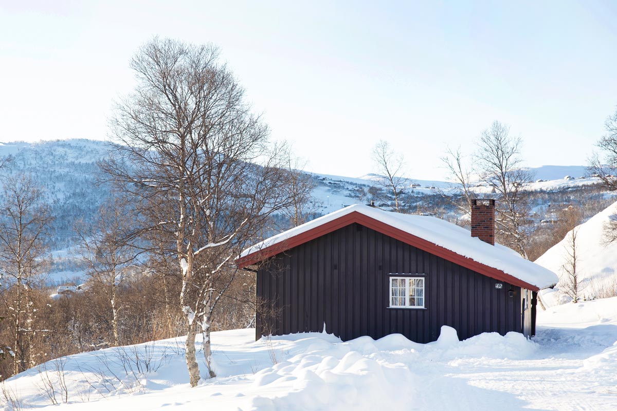  High to the mountains. 