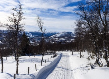  Seterveien and ski slopes in the immediate vicinity. 