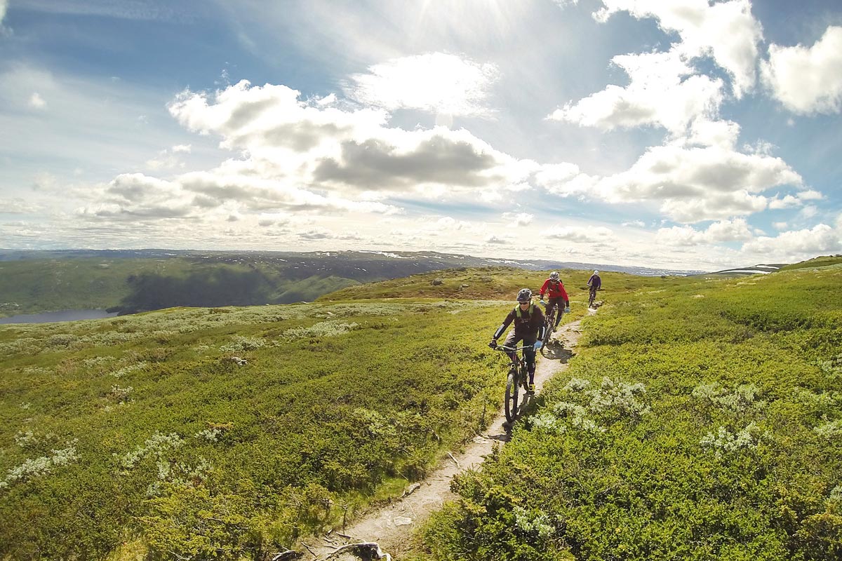 Geilo has become a cycling paradise. Rallarvegen, bike parks and gravel roads far into the plateau.   Geilo has become a cycling paradise. Rallarvegen, bike parks and gravel roads far into the plateau.